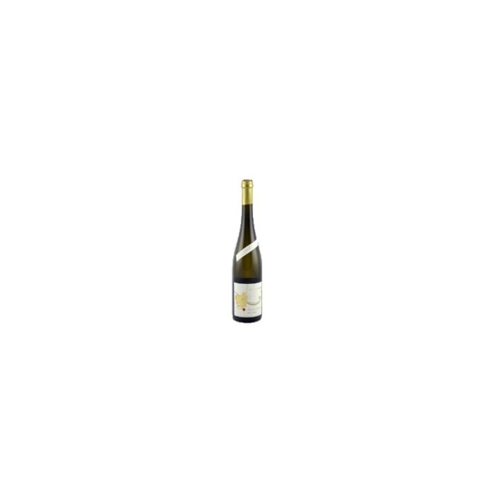 Muscat Ottonel Côtes de Remich 2023