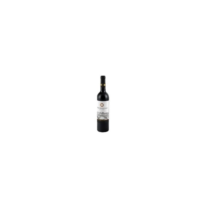 Vale Barqueiros Alentejano Reserva 2022 0,75 lit