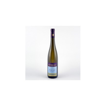 Pinot Gris Kelterberg 2022