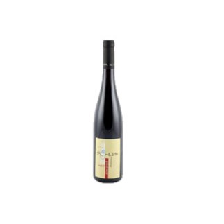 Pinot Noir Rouge Machtum Ongkaf 2021